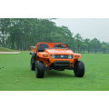 Manufacturer of Ce Certification 4 Wheel UTV Buggy